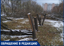 "Благоустройство" общественных мест в Таганроге