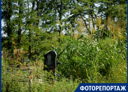 Заросшие кладбища Таганрога не выдумка, а реальность 