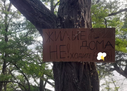 Отказ от туристической компоненты Таганрога: Богудония продолжает строить заборы