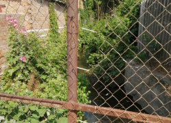 Из года в год: жалобы на состояние малых городских рек Таганрога те же, что и в прошлом году