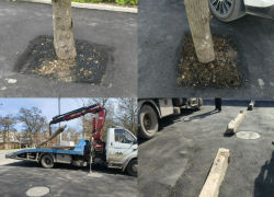 В Таганроге газон превратили в парковку — полиция ищет «умельцев»