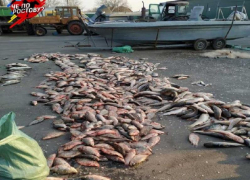 В Таганрогском заливе поймали браконьеров с уловом на 750 тысяч рублей