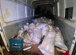 Под Таганрогом браконьеры с 1.5 тоннами рыбы пытались сбежать от ФСБ