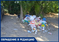 Желая превратить Таганрог в курорт, городские власти убрали мусорные контейнеры с побережья?