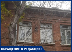 Пока без жертв: сухое дерево грозит лишить жизни детей у школы в центре Таганрога