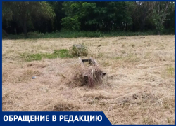 "Спичку кто-то бросит и заживо сгорим": таганрожцы жалуются на опасный сеновал на Циолковского