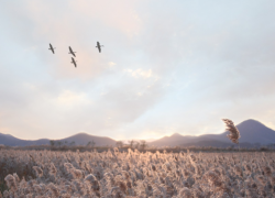 Время решить сложные ситуации: что сделать в Журавлиный лёт, чтобы перезагрузить судьбу - советы на 1 октября 