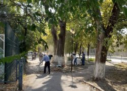 Таганрожцам предложили принять участие в субботнике