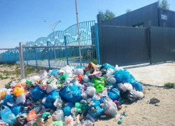 "Ароматы" и пейзажи Таганрогского залива могут снова "порадовать" туристов