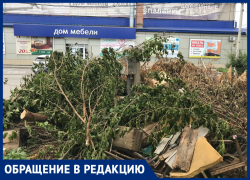 На улице Фрунзе в Таганроге заваливают ветками одинокий счетчик