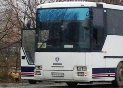 На трассе «Ростов-Таганрог» по подозрению в терроризме задержали пассажирку автобуса «Ростов-Донецк»