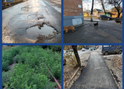 Город без присмотра: как МКУ «Благоустройство» умудрилось провалить всё, к чему прикоснулось 