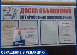Как работает ТИК Таганрога и насколько равны права и обязанности кандидатов