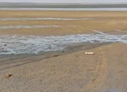 Не смотря на сильный сгон залива, в Таганроге в кранах пока есть вода
