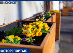 «Весне дорогу!»: как преобразился Таганрог с приходом тепла