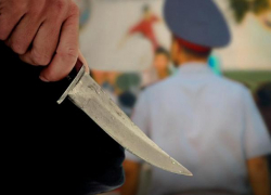 Житель Неклиновского района напал на полицейского с ножом 