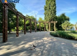 5 проблем рощи Дубки