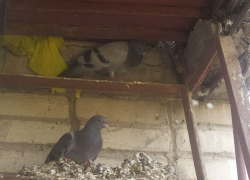 Нерукотворные пирамиды в Таганроге - жители им не рады 