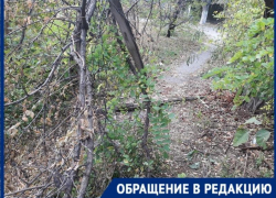 «Пилите сами» - посоветовали таганроженке в «Благоустройстве»