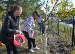 Центр Занятости потратит 2 миллиона на оплату труда учащихся во время каникул