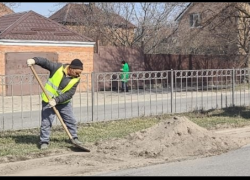 Глава города напомнил таганрожцам: ветки вывозим за свой счёт