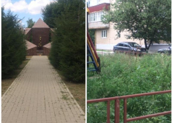 В Таганроге покосили сквер "Звезда", но детскую площадку через дорогу проигнорировали