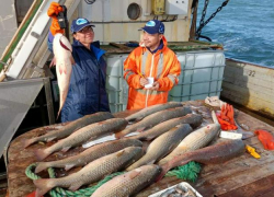 Пиленгас возвращается: рост солёности Азовского моря увеличил уловы в Таганрогском заливе