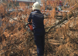 Помощь пришла откуда не ждали - спасатели Таганрога убрали сломанное дерево