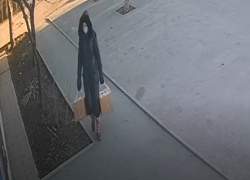 Пять щенков подкинула таганроженка под двери зооклиники