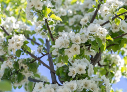 Таганрожцев ждут всего два дополнительных выходных в мае