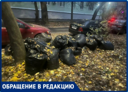 Катастрофа и антисанитария: мешки с листвой уже много месяцев гниют на переулке в Таганроге