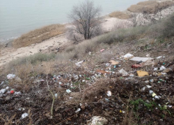 "В Донецке намного чище": "свиньи" загадили вид на море в Таганроге