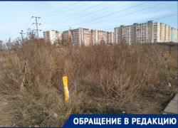 «Нам страшно идти через заросли с детьми», - жалуются таганрожцы из нового микрорайона