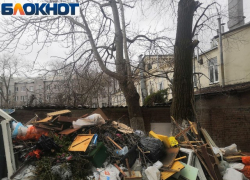 Что будем делать с крупногабаритным мусором в Таганроге? 