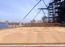 90 тысяч тонн зерна экспортировали из порта Таганрога