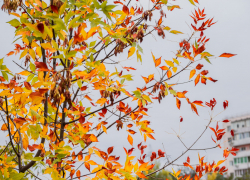 26 ноября — день Иоанна Златоуста: как таганрожцам правильно провести день и чего избегать