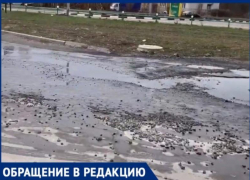 «Весь мир борется с коронавирусом, а Северный микрорайон Таганрога за*рат фекалиями»