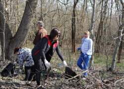 В селе Покровском возле Таганрога жители сами расчищают лесополосу