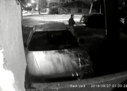 В Таганроге пьяный смельчак одну машину повредил, другую – обокрал