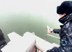 850 метров сетей и 40 кг рыбы: в Таганрогском заливе прошли рейды по защите биоресурсов