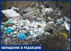  Варварство в ЖК «Андреевский» Таганрога превращает красоту природы в мусорные свалки