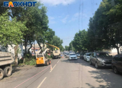 На центральной улице Таганрога началось кронирование деревьев