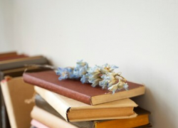 После февральской акции в Таганроге сельские библиотеки обогатили свой фонд