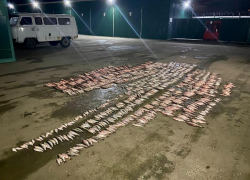 Пограничники поймали под Таганрогом браконьера с уловом на 4 млн 