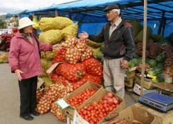 В Таганроге пройдет сельскохозяйственная выставка.