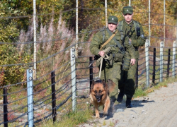 Полицейские и пограничники Ростовской области задержали обвиняемого в совершении особо тяжкого преступления