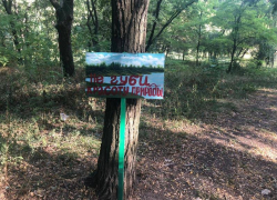 Субботник по-таганрогски в «дубовой» роще
