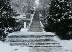 Таганрожцы не смогли встретиться с заместителем главы администрации по вопросам городского хозяйства