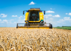 Весенние полевые работы в окрестностях Таганрога начнутся раньше обычного из-за теплой зимы