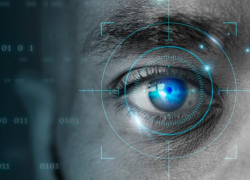 Таганрожцы могут отказаться от сбора и размещения биометрических данных